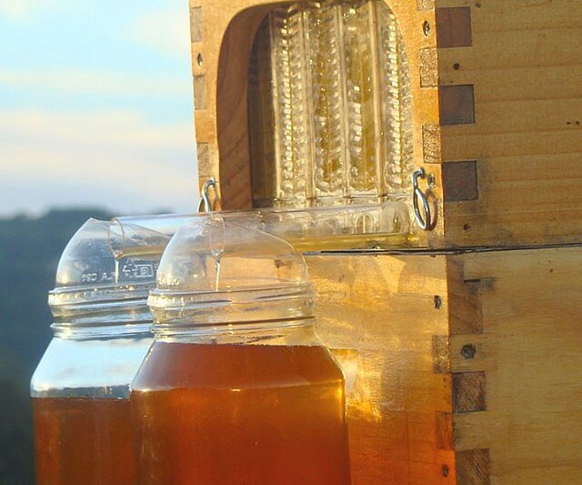 Honey Collecting Beehive