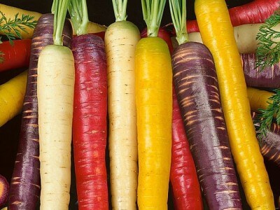 Rainbow Carrot Seeds