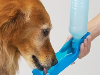 Dog Water Bottle